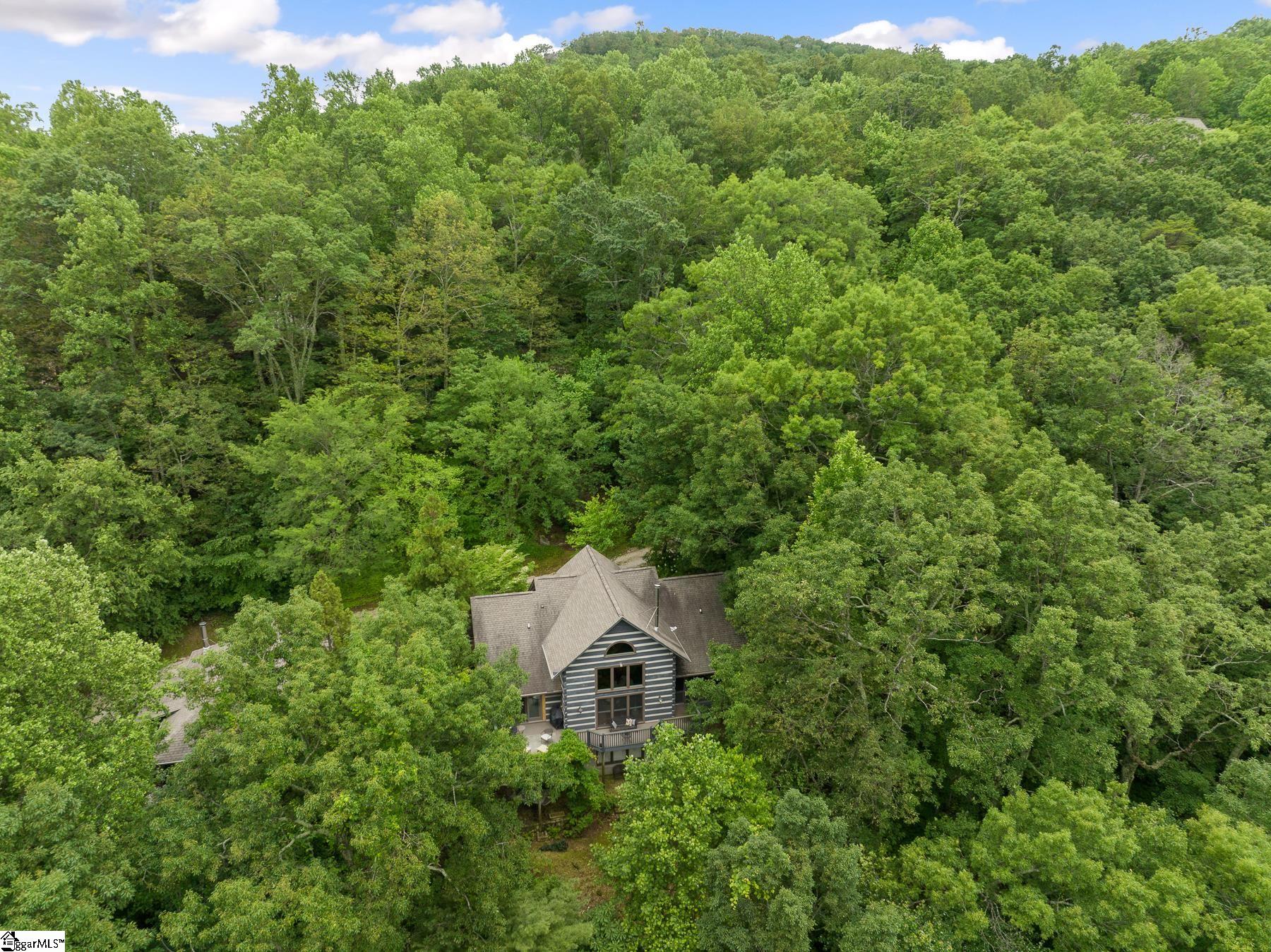 39 Eagle Rock Road Landrum, SC 29356 - Photo 27 of 35