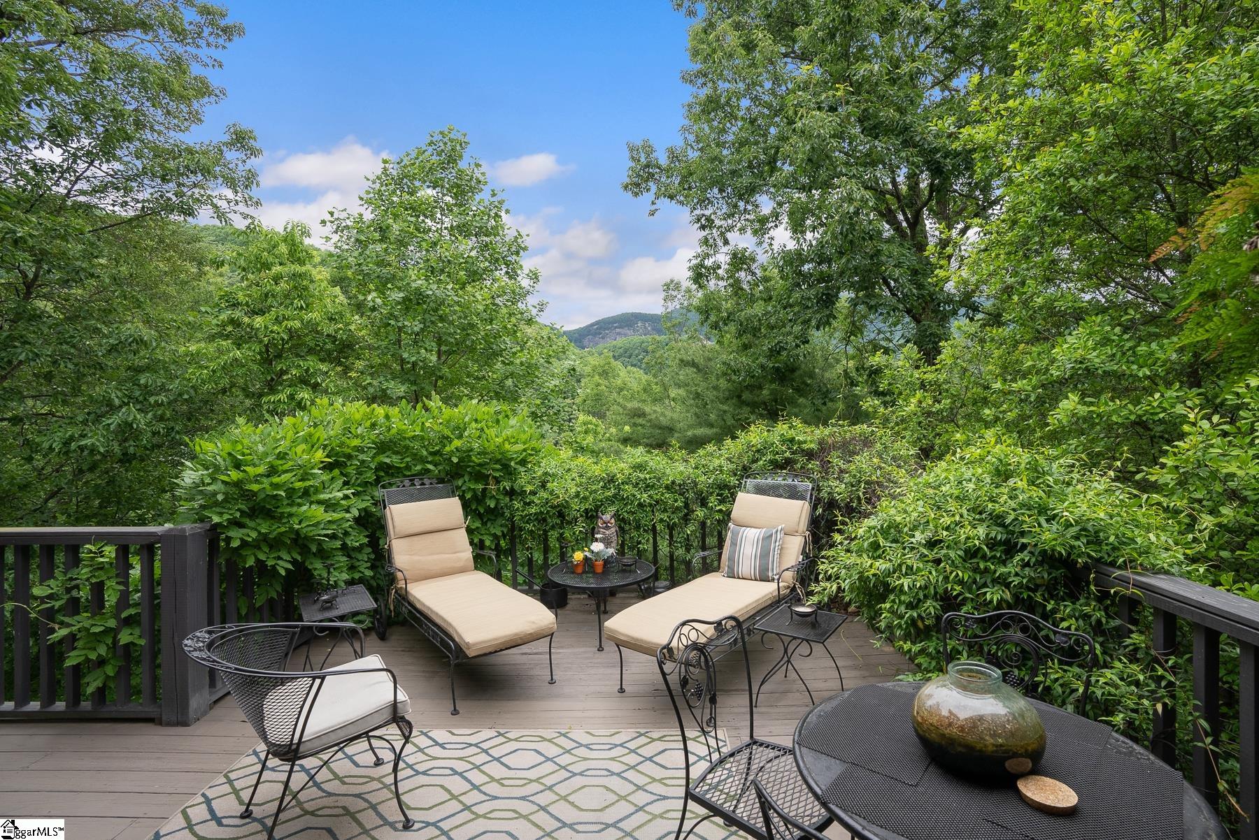 39 Eagle Rock Road Landrum, SC 29356 - Photo 31 of 35