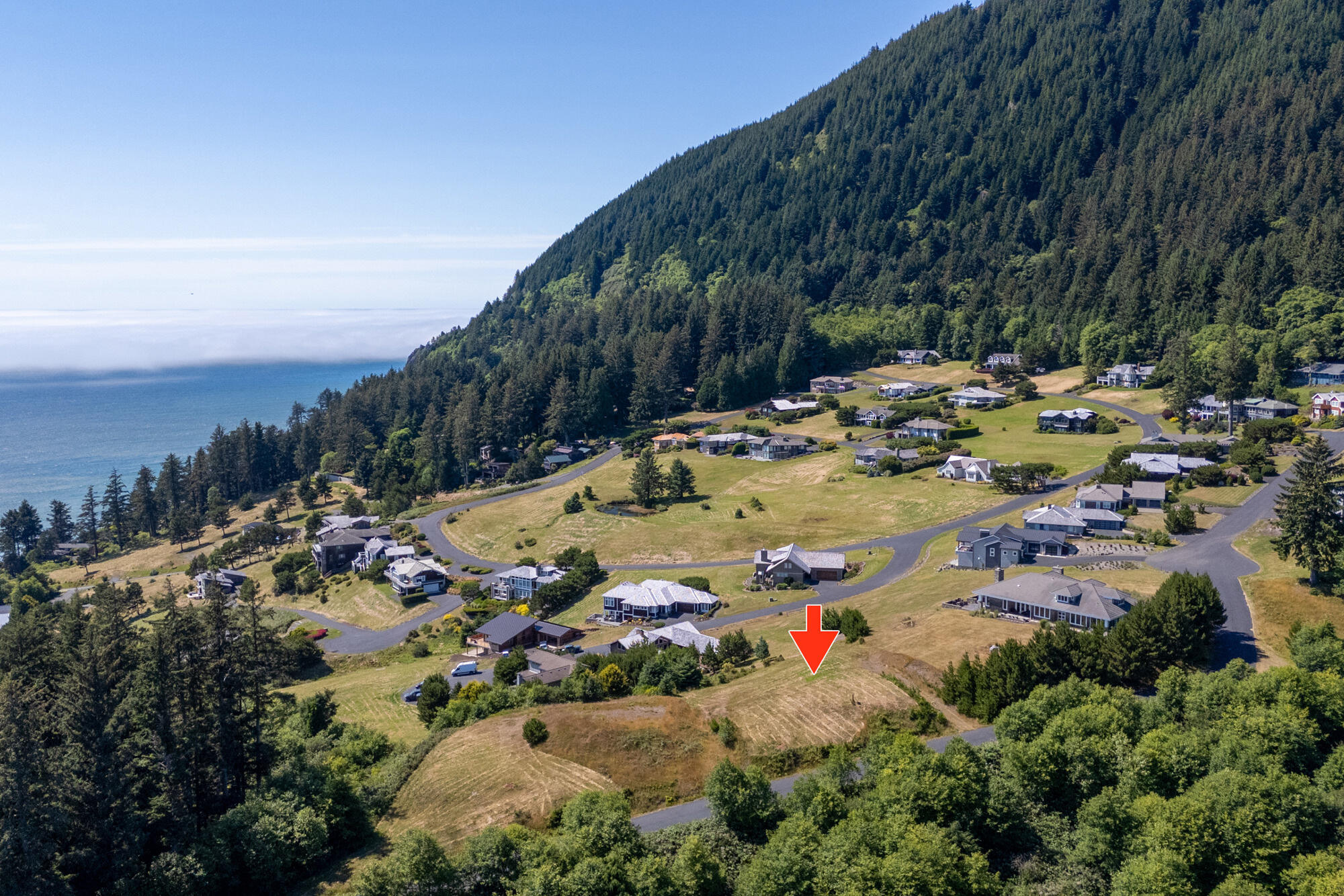 62 Braeridge Drive Nehalem, OR 97131 - Photo 6 of 15 dji_20250708160550_0028_d-edit