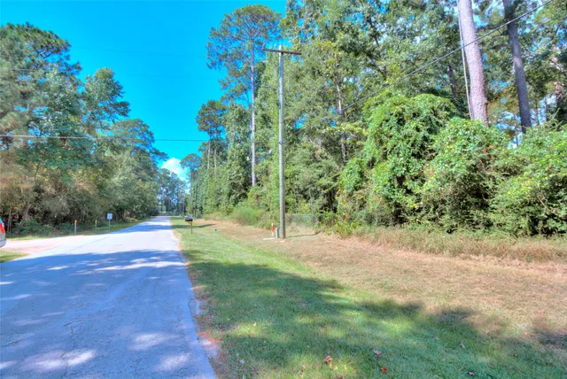 a view of a yard with plants and trees