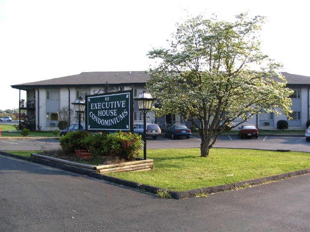 a view of a house with garden and trees