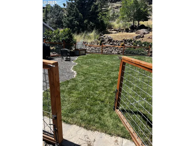 a view of a flower in a garden