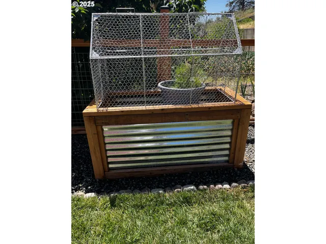 a table with chairs and a potted plant