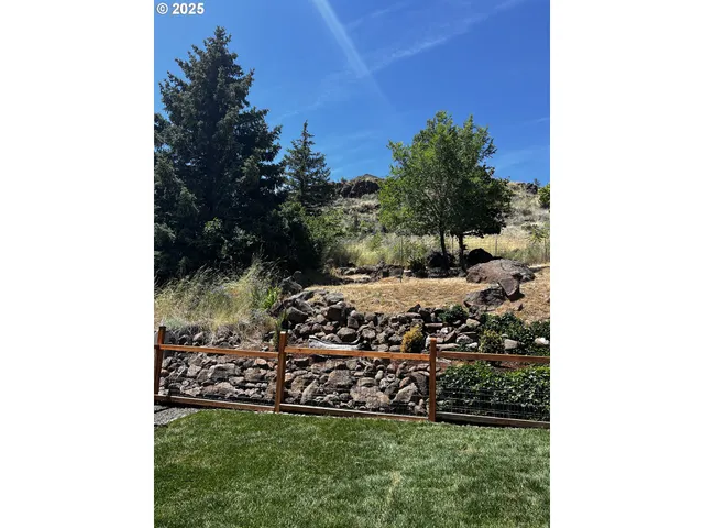 a view of a garden with plants