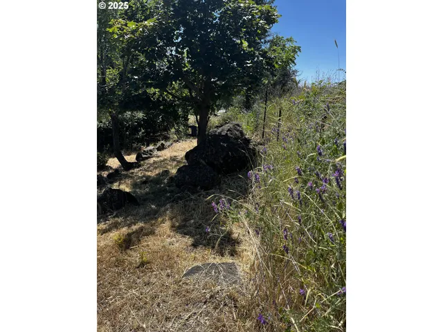 a view front of house with outdoor space