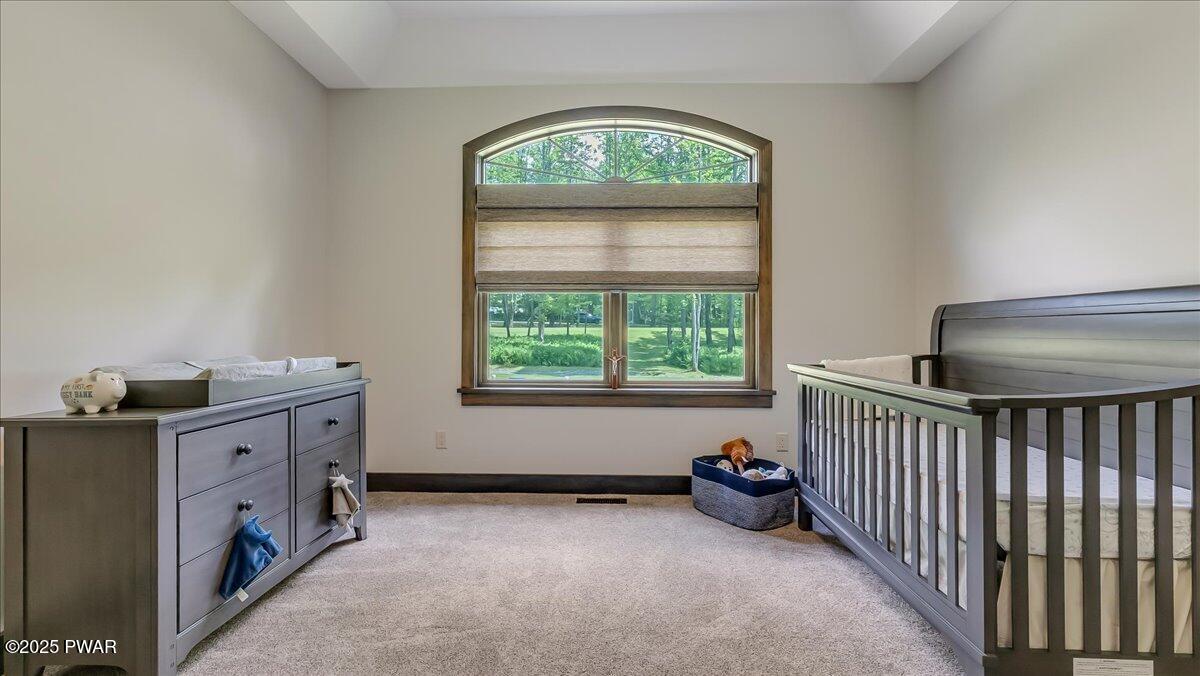 259 Ayoub Road Pleasant Mount, PA 18453 - Photo 37 of 144