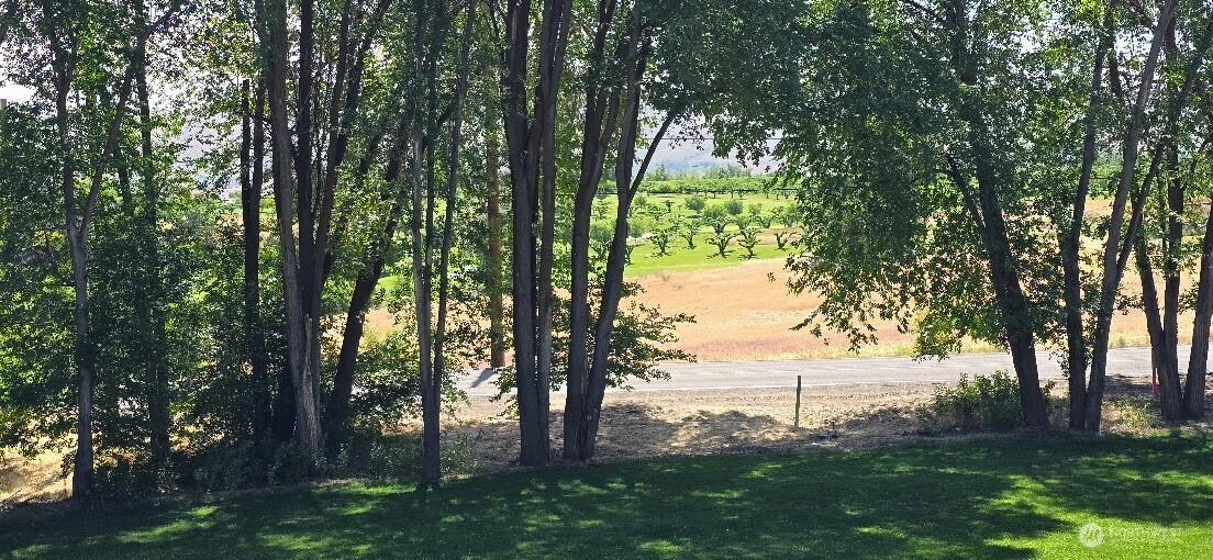 10001 Occidental Road Yakima, WA 98903 - Photo 10 of 40
