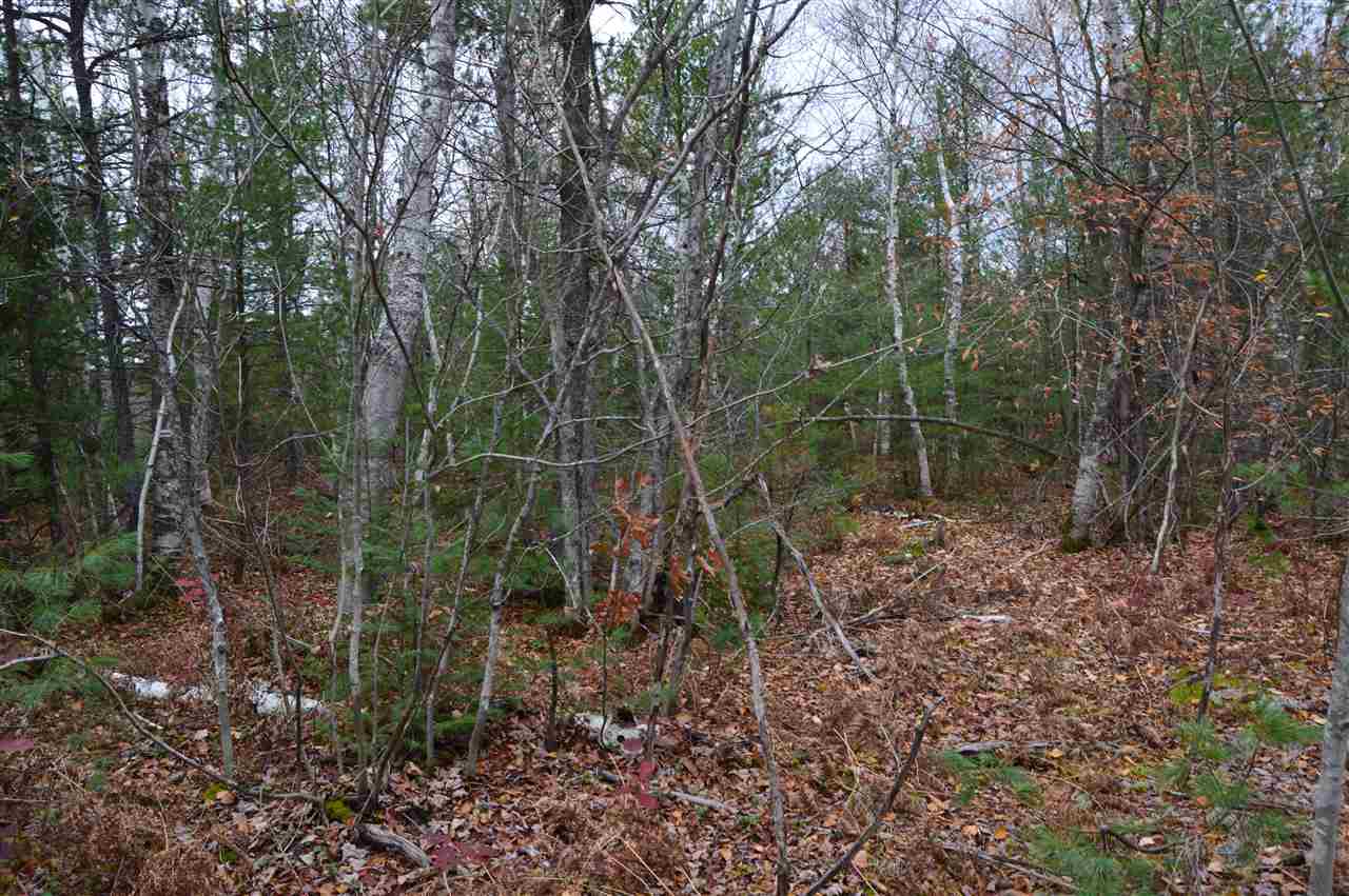 Xxx Chamberlain Road Munising, MI 49862 - Photo 3 of 29 1894812-2.JPG