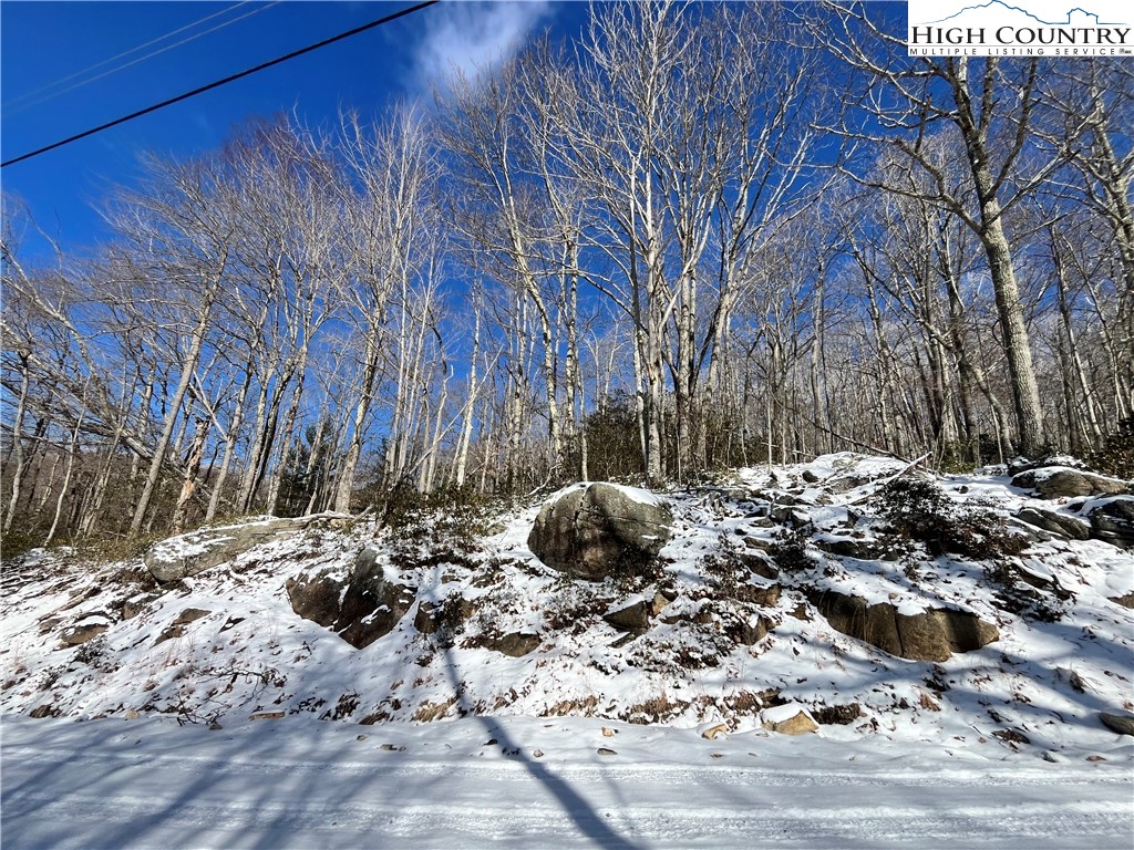 234 Poplar Drive Beech Mountain, NC 28604 - Photo 2 of 7