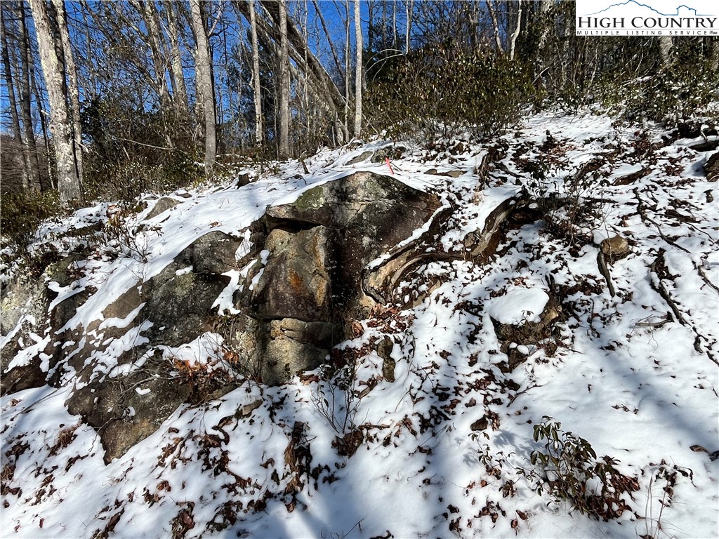 234 Poplar Drive Beech Mountain, NC 28604 - Photo 4 of 7