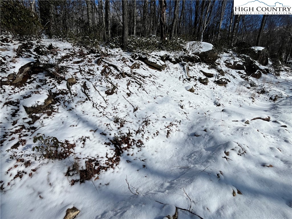 234 Poplar Drive Beech Mountain, NC 28604 - Photo 5 of 7