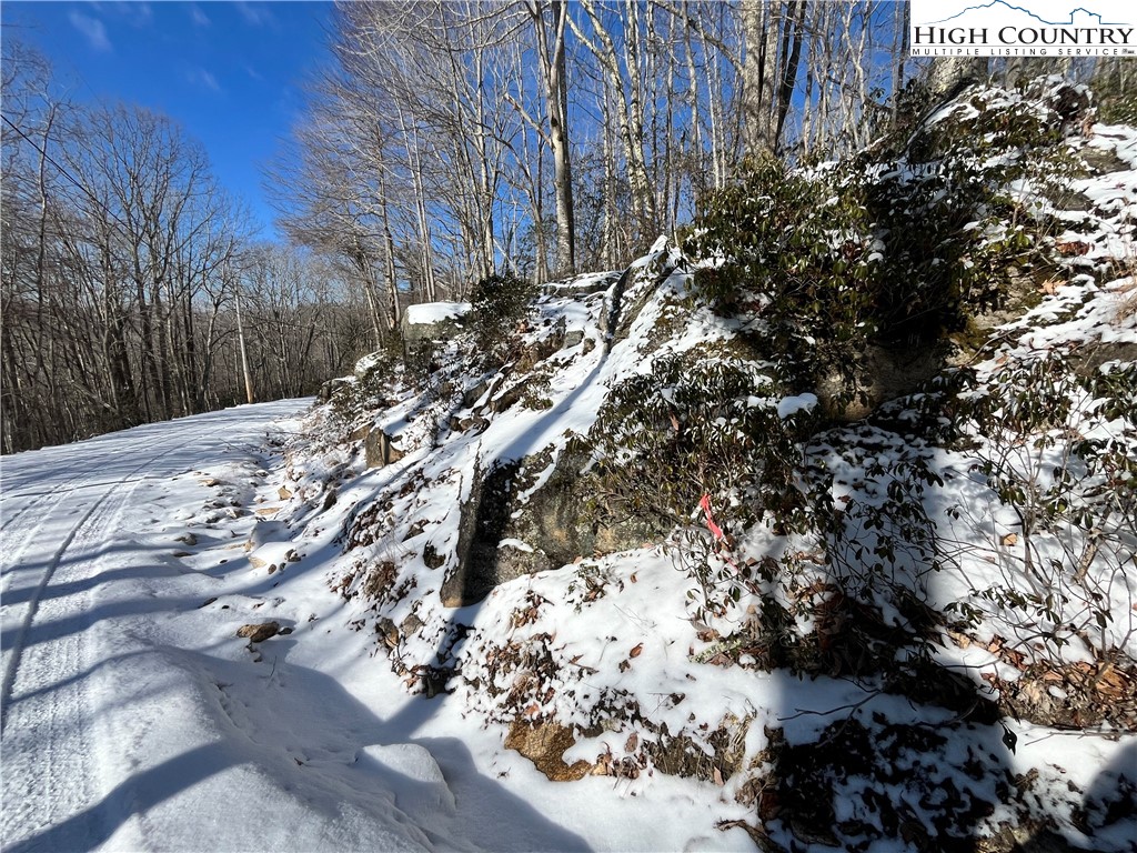 234 Poplar Drive Beech Mountain, NC 28604 - Photo 6 of 7