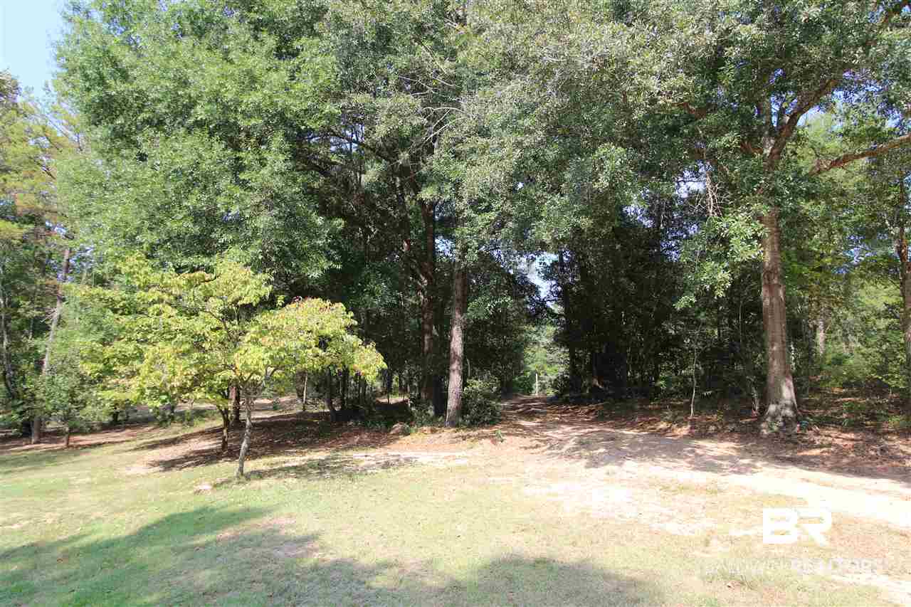 794 Dry Lake Road Luverne, AL 36049 - Photo 43 of 48 Driveway