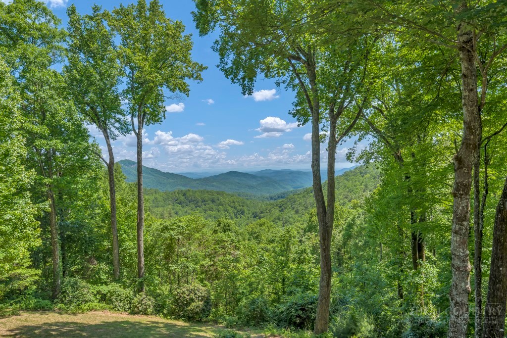 847 Old Orchard Road Lenoir, NC 28645 - Photo 4 of 34