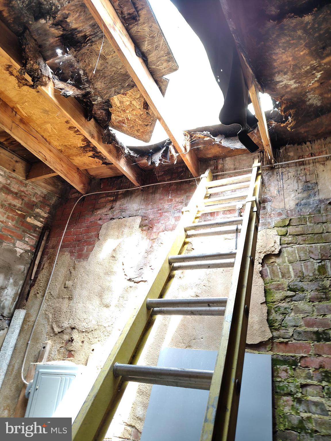 230 North 53rd Street Philadelphia, PA 19139 - Photo 39 of 39 a view of an outdoor space