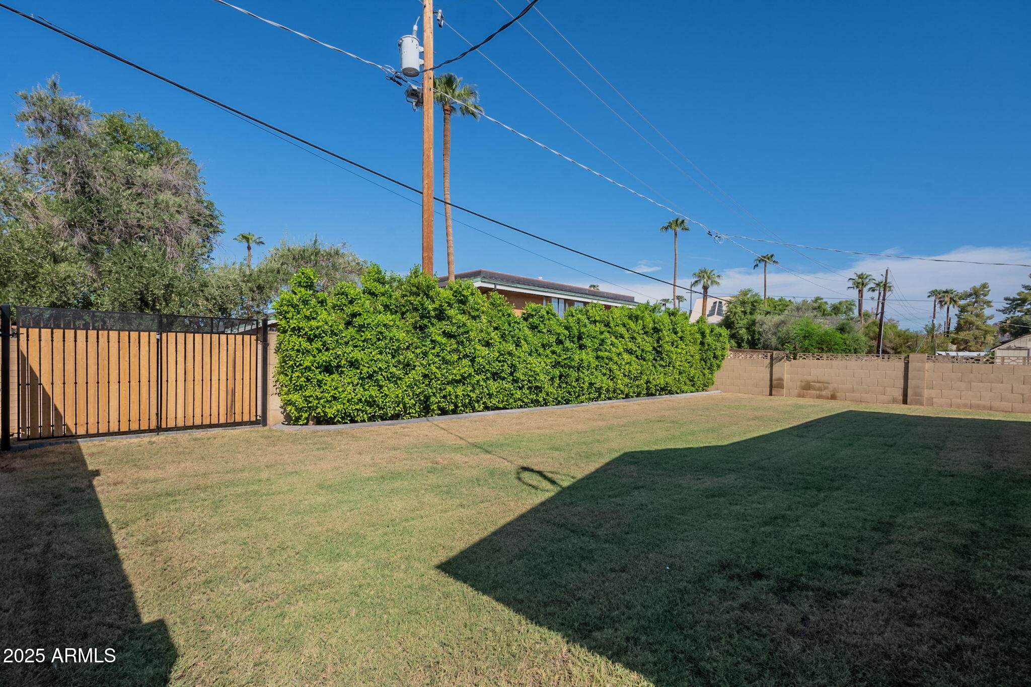 2814 North 51st Street Phoenix, AZ 85008 - Photo 45 of 50 a view of a backyard with potted plants