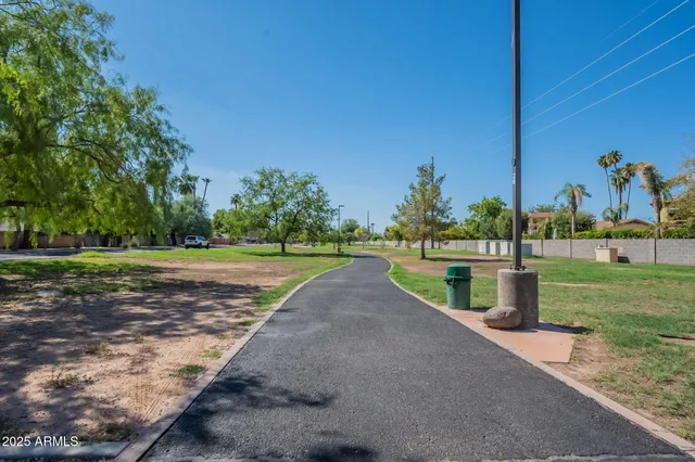 a view of a park with palm trees