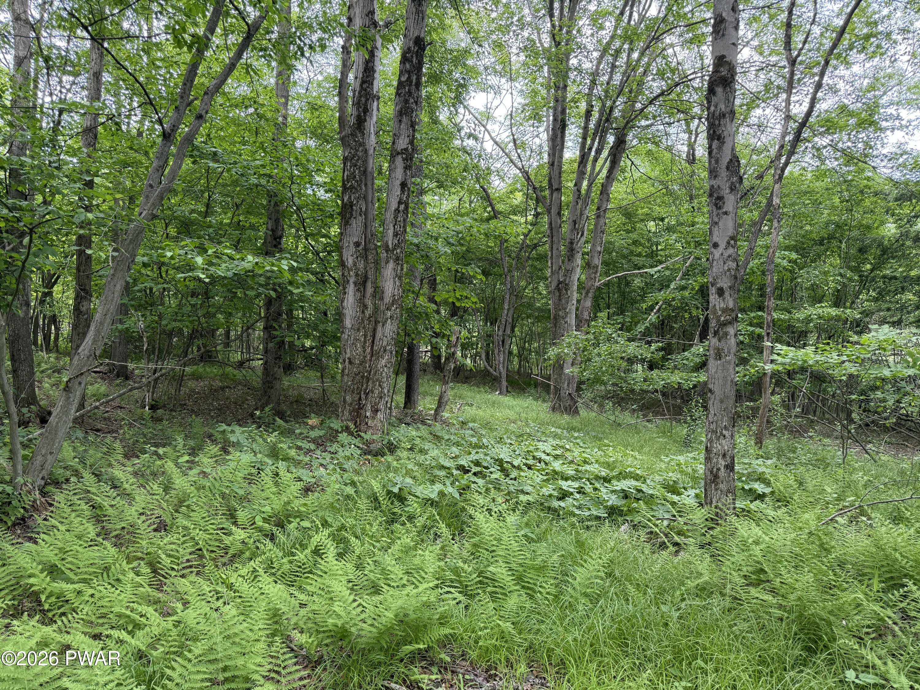 Beaver Hollow Road Lakewood, PA 18439 - Photo 3 of 7