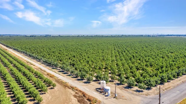 $22,500,000 | 45496 County Road 35, Davis, CA 95618