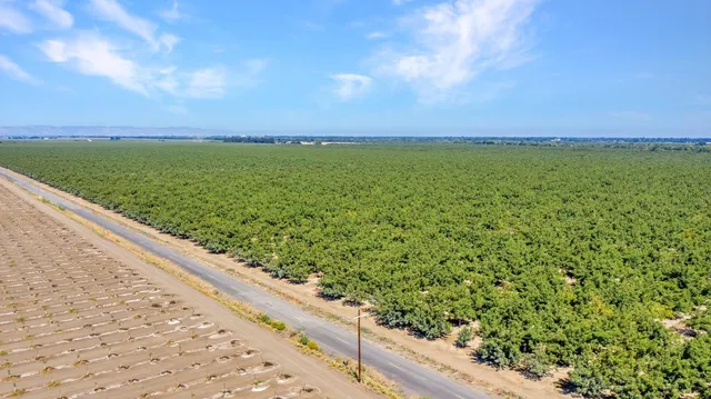 $22,500,000 | 45496 County Road 35, Davis, CA 95618