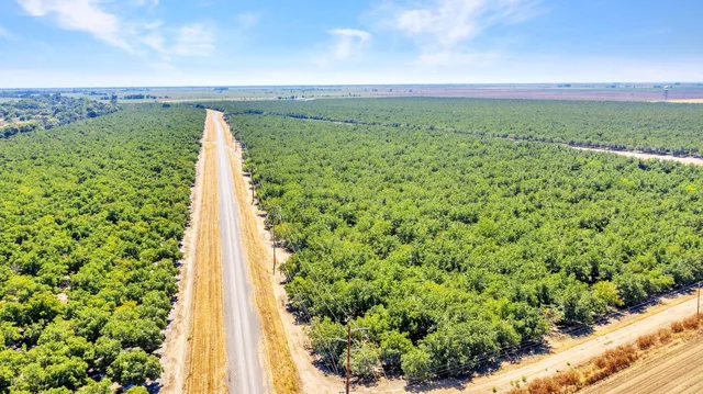 $22,500,000 | 45496 County Road 35, Davis, CA 95618