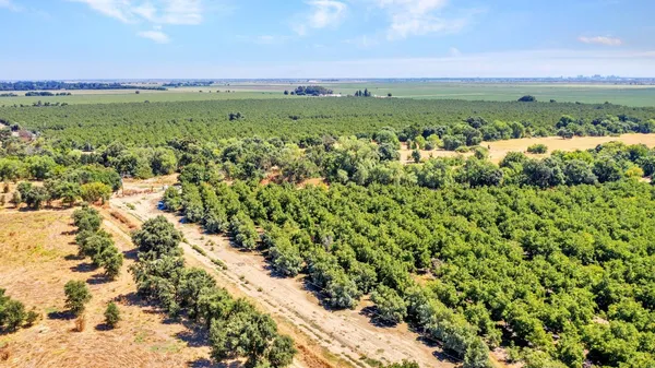 $22,500,000 | 45496 County Road 35, Davis, CA 95618