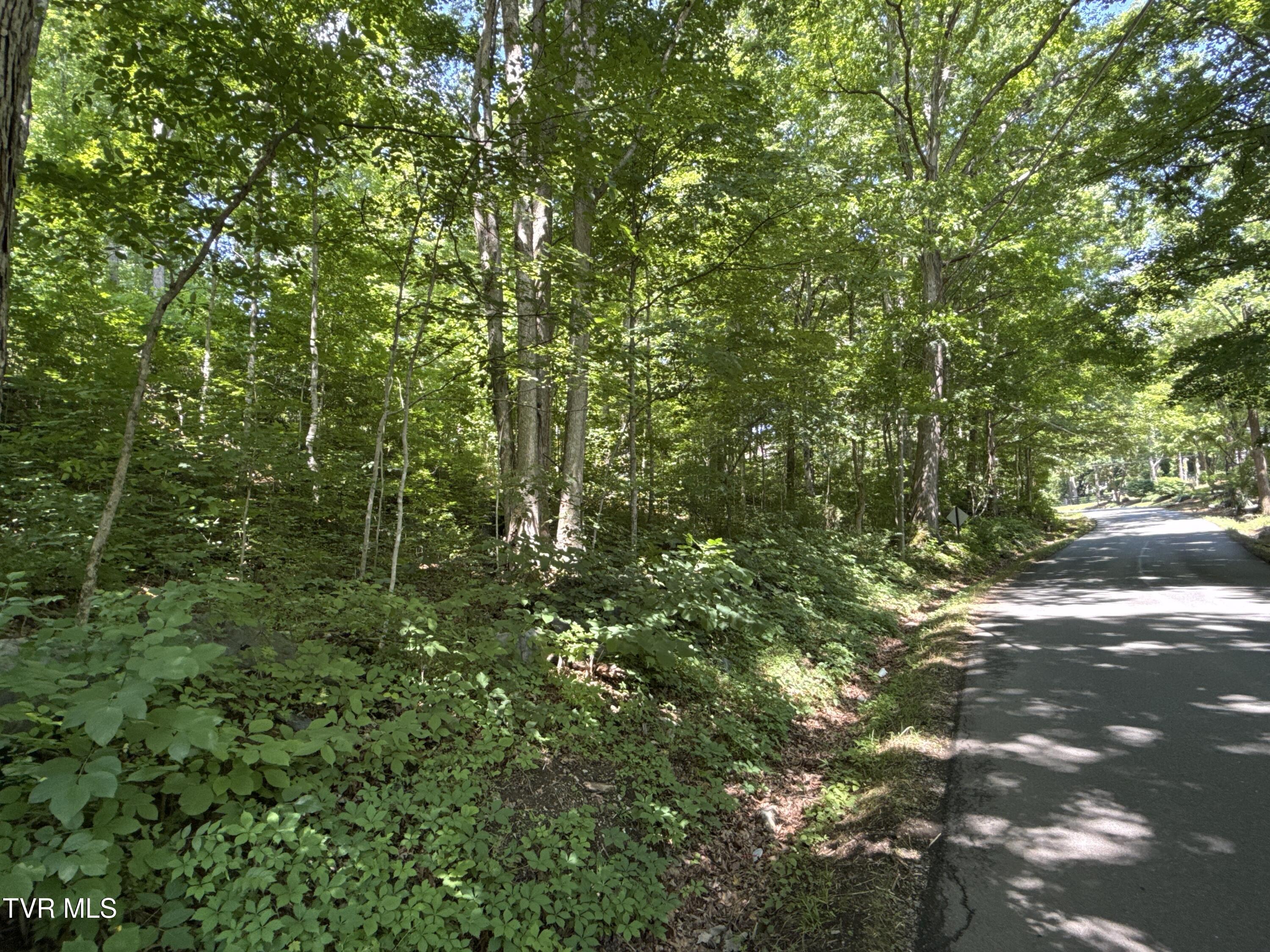 12-ac Max Jett Road Johnson City, TN 37601 - Photo 6 of 27 _Pic6 (4)