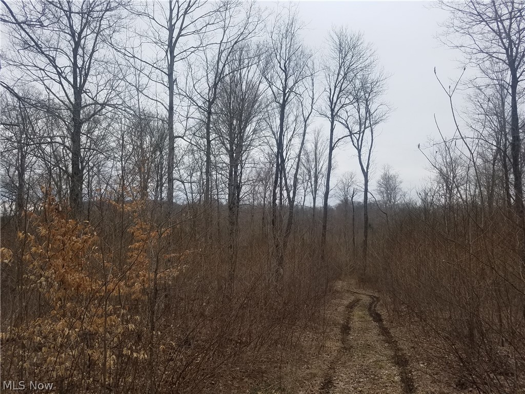 Cliff Run Road Bainbridge, OH 45612 - Photo 5 of 6