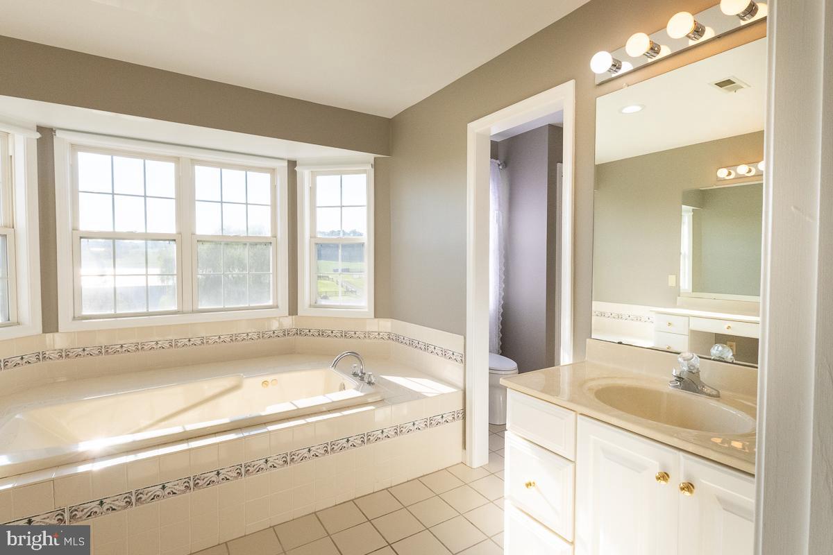 9630 Clemsonville Road Union Bridge, MD 21791 - Photo 32 of 70 Primary bath