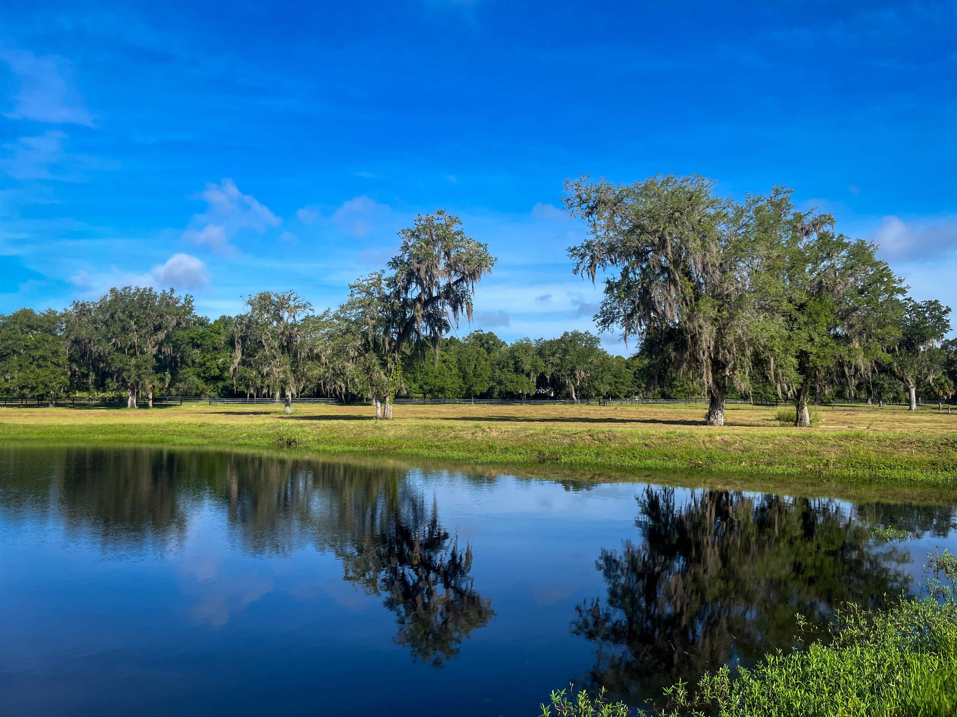 3920 Bill Carlton Road Perry, FL 32347 - Photo 3 of 34