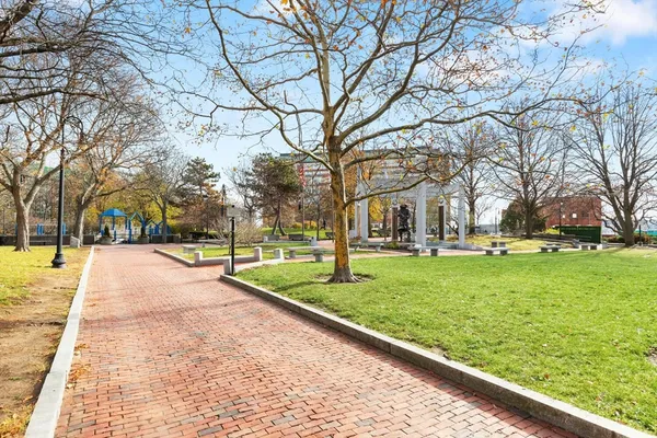 a view of yard with tree