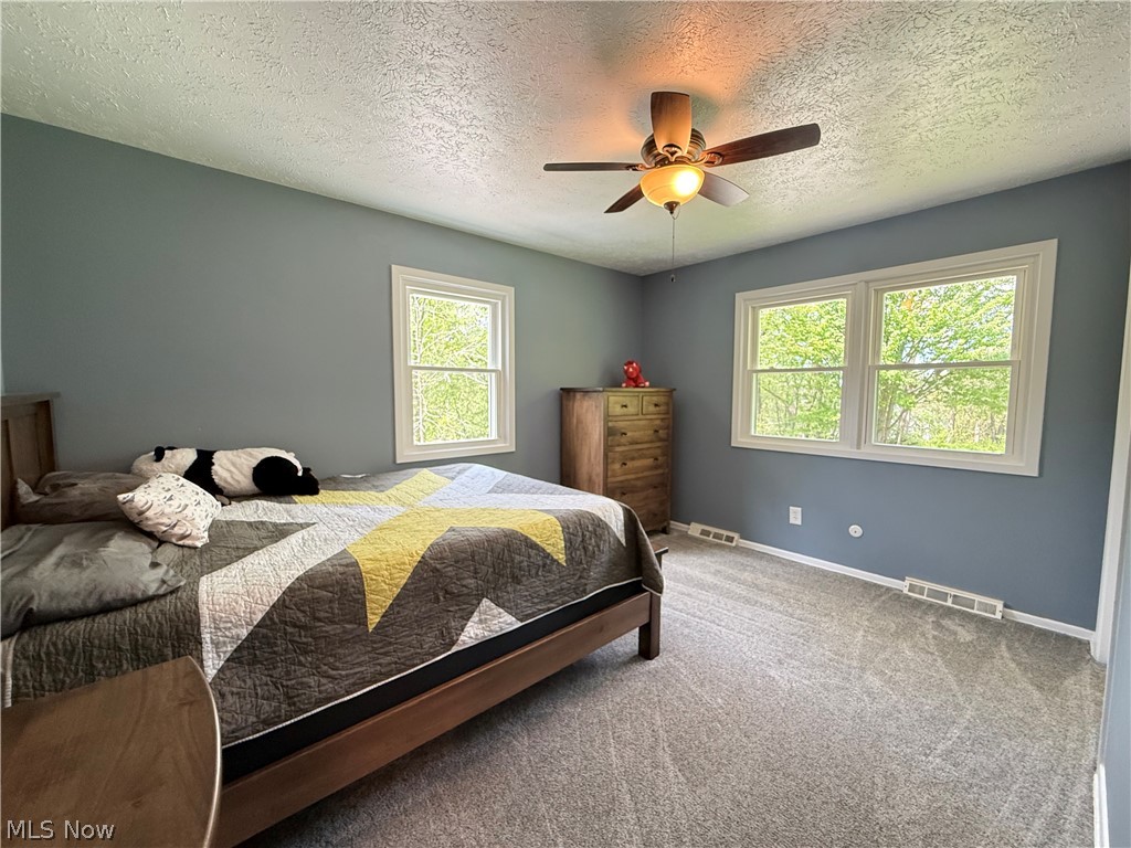10239 Mulberry Road Chardon, OH 44024 - Photo 24 of 39