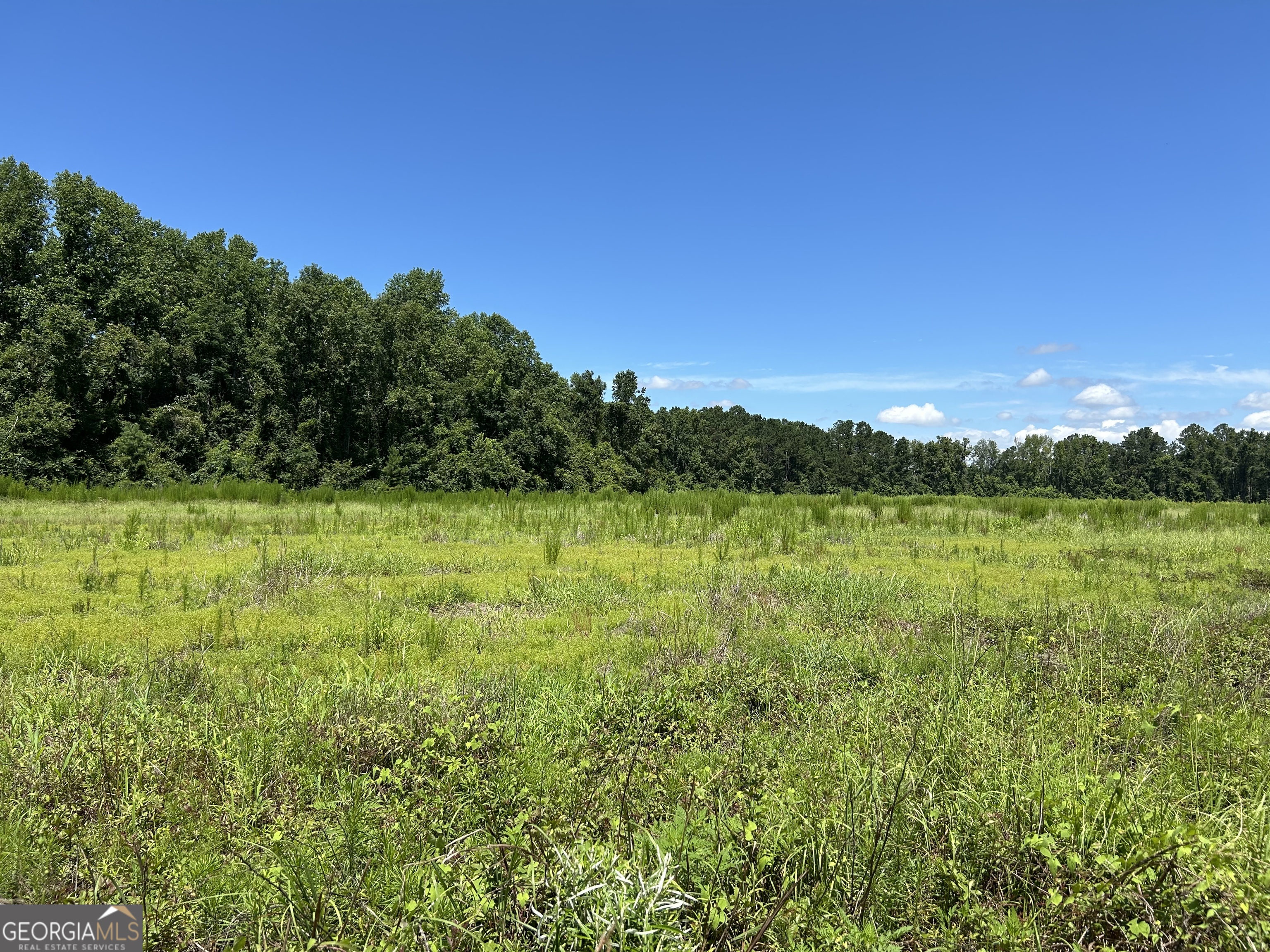 Lot 4 Cleary Road Brooklet, GA 30415 - Photo 1 of 1 Gallery Image 1
