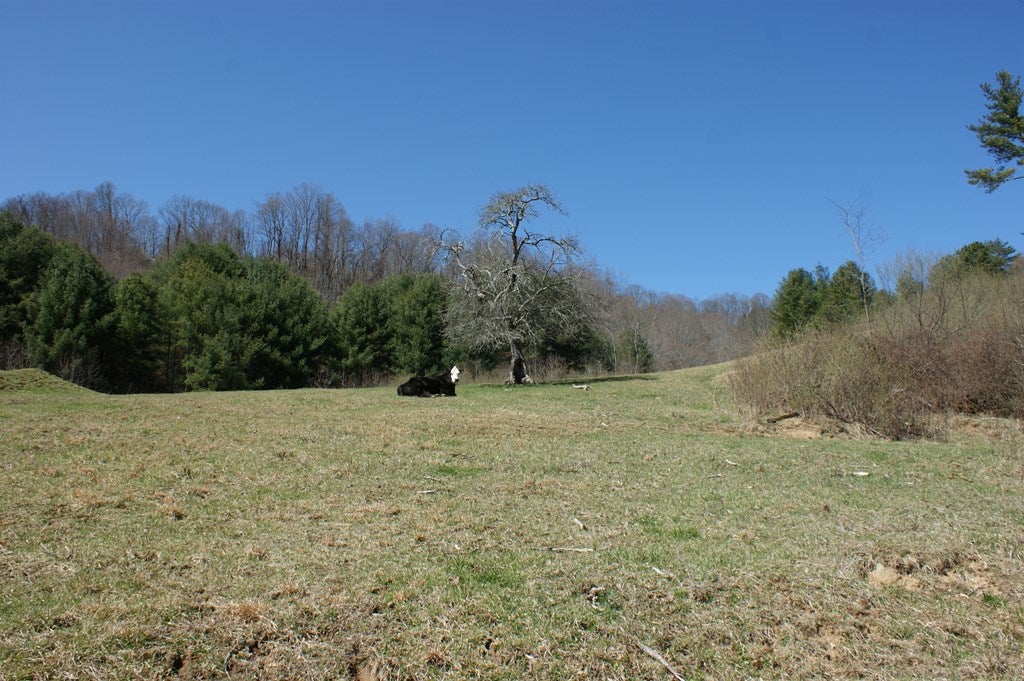431 Mapleton Lane Fries, VA 24330 - Photo 9 of 23 Gallery Image 9