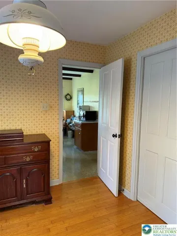 a view of a yard with plants and trees