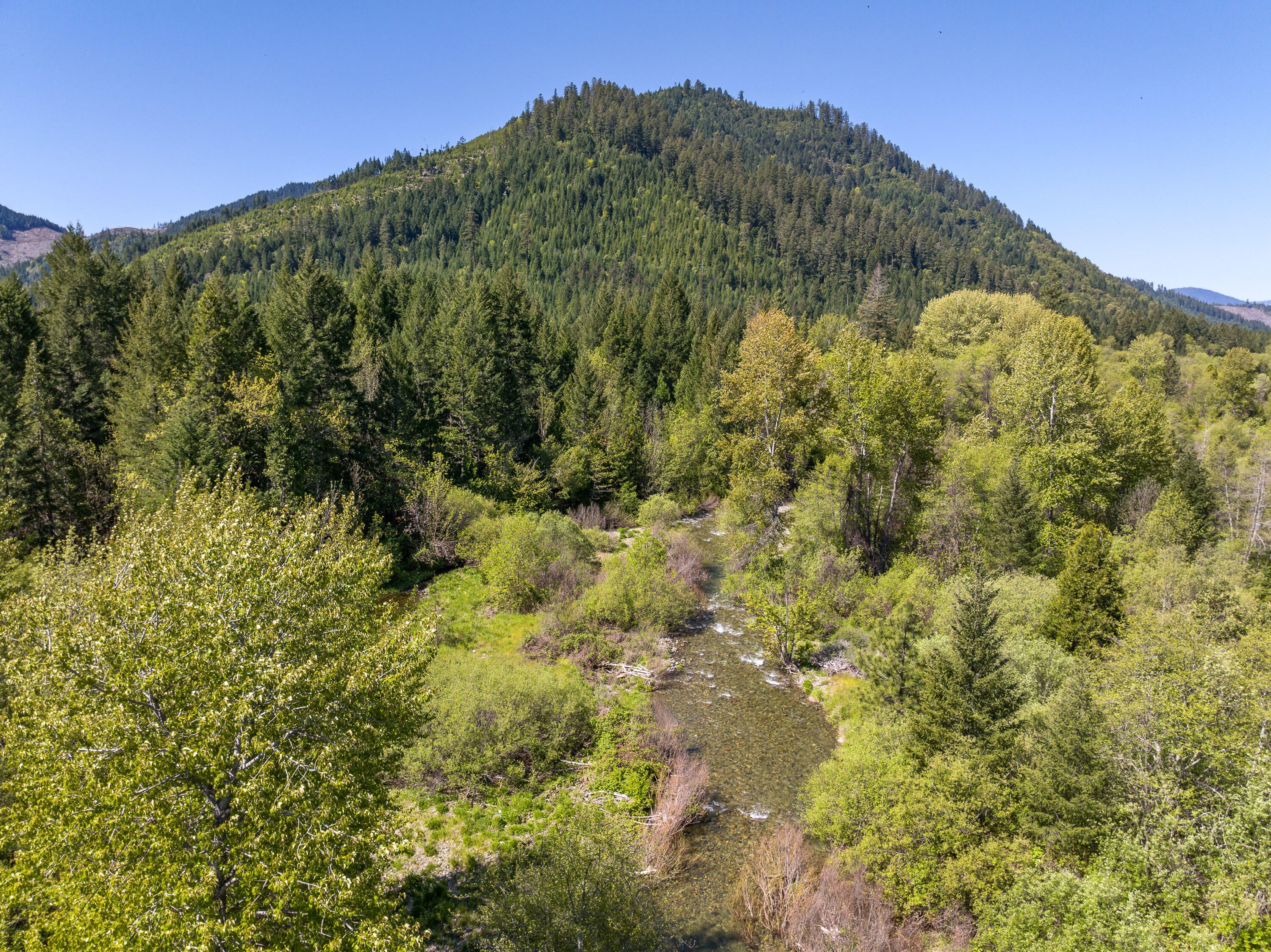 8501 Deer Creek Road Selma, OR 97538 - Photo 62 of 74
