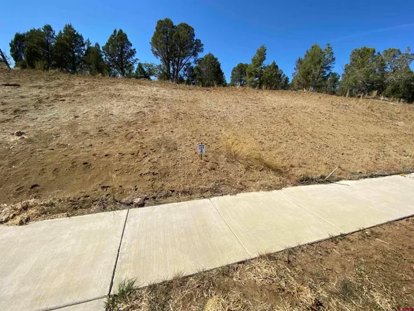 a view of a swimming pool with a bench