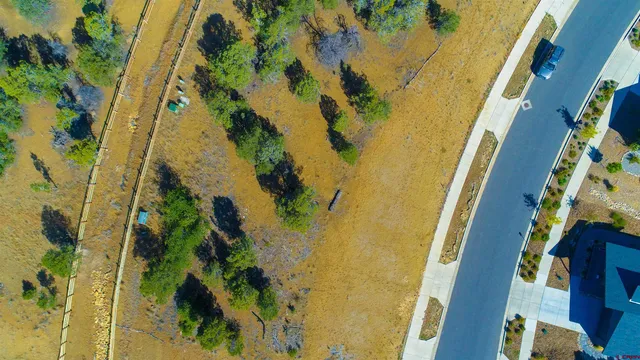 a view of a yard with a tree
