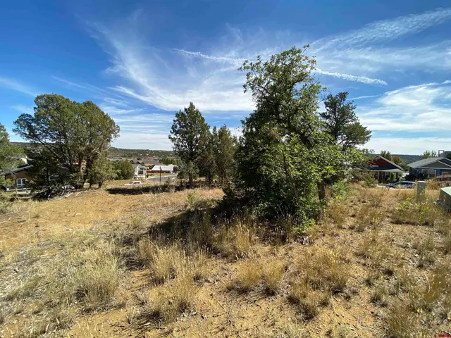 a view of a yard with a house in the background