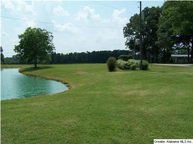 2066 Zion Hill Road Horton, AL 35980 - Photo 32 of 32