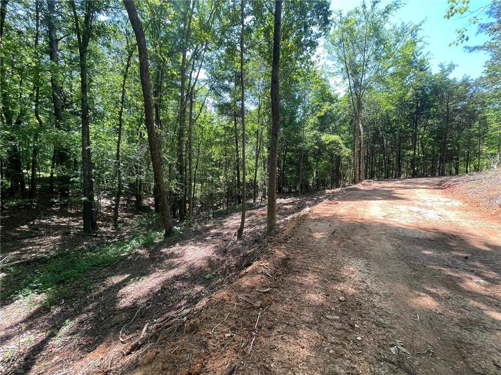 3 Chalcrest Way Cave Spring, GA 30124 - Photo 15 of 57