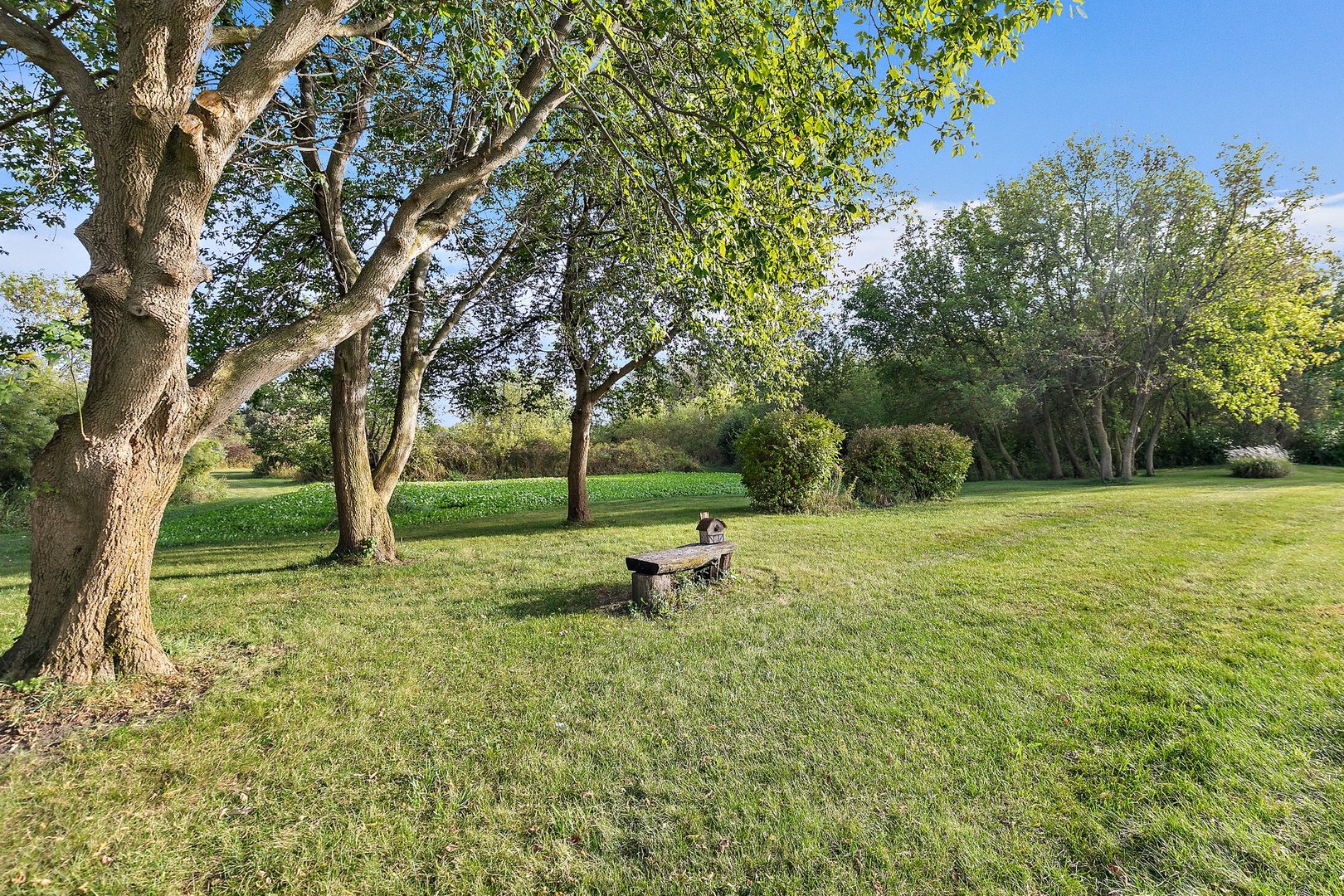 8908 South Hill Road Marengo, IL 60152 - Photo 14 of 53 a view of a park with large trees