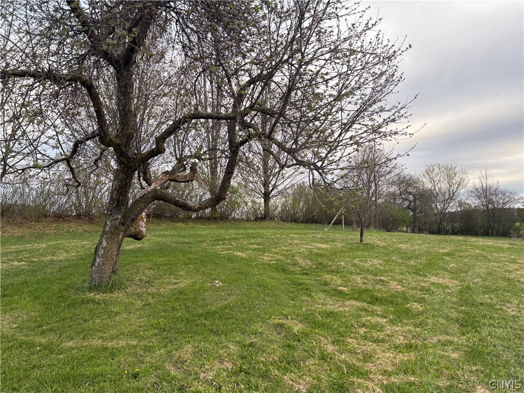 738 Markham Hollow Road Fabius, NY 13020 - Photo 41 of 41