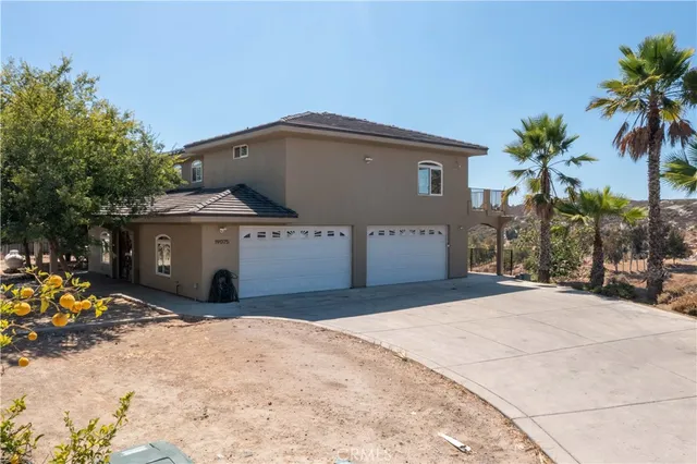 a street view with large trees