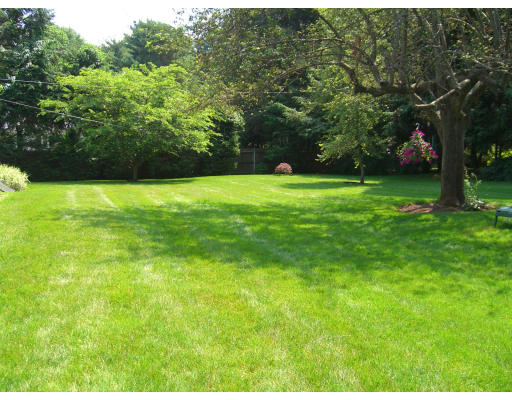 10 Mignon Road Newton, MA 02465 - Photo 10 of 11