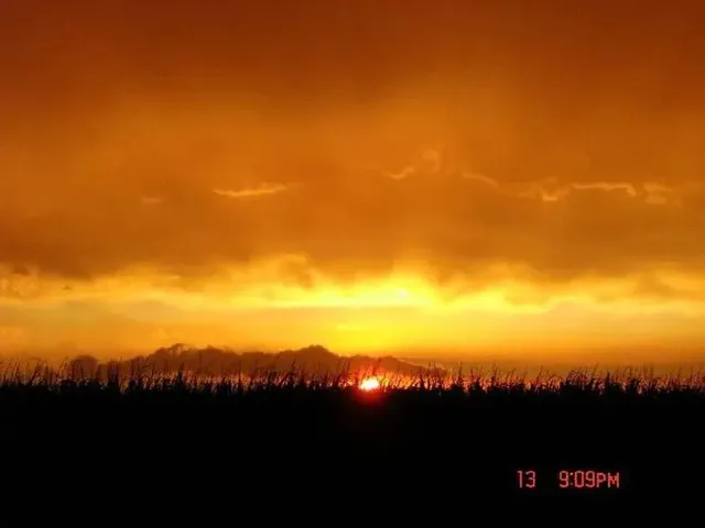 $1,790,000 | 4480 Northwest 312th Street, Stewartsville, MO 64490