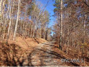 0 Scrivens Road, Unit LOT C Tryon, NC 28782 - Photo 2 of 6