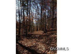 0 Scrivens Road, Unit LOT C Tryon, NC 28782 - Photo 5 of 6