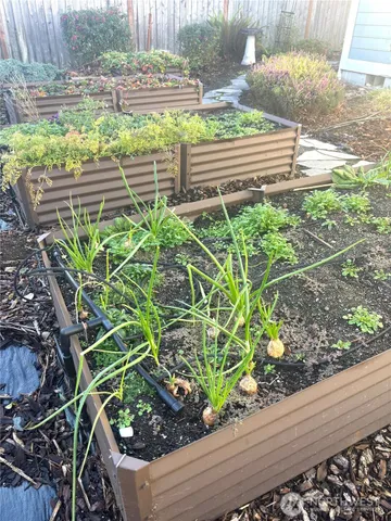 a view of a garden with a plant