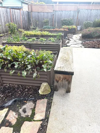 a view of a backyard with pathway